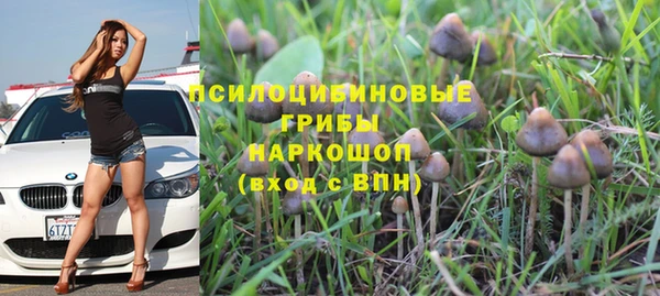 гидра Алексеевка