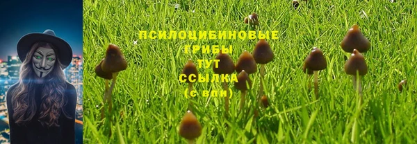 прущая мука Пересвет