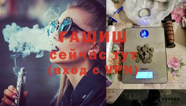 гашик Пестово